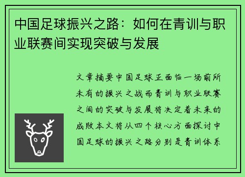 中国足球振兴之路：如何在青训与职业联赛间实现突破与发展